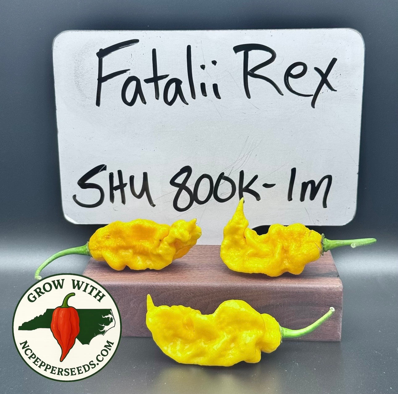 Yellow Fatalii Rex