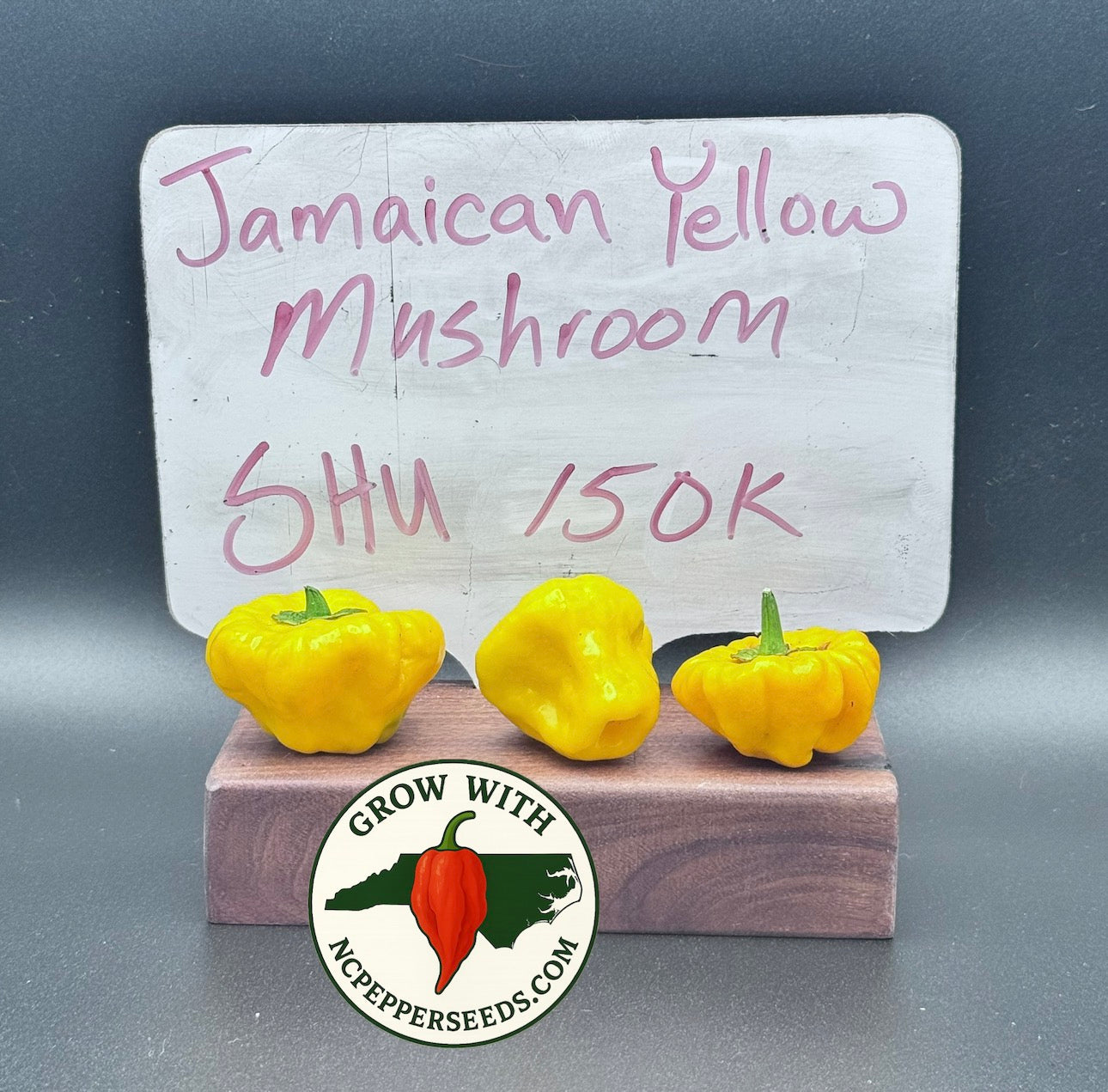 Jamaican Mushroom Yellow