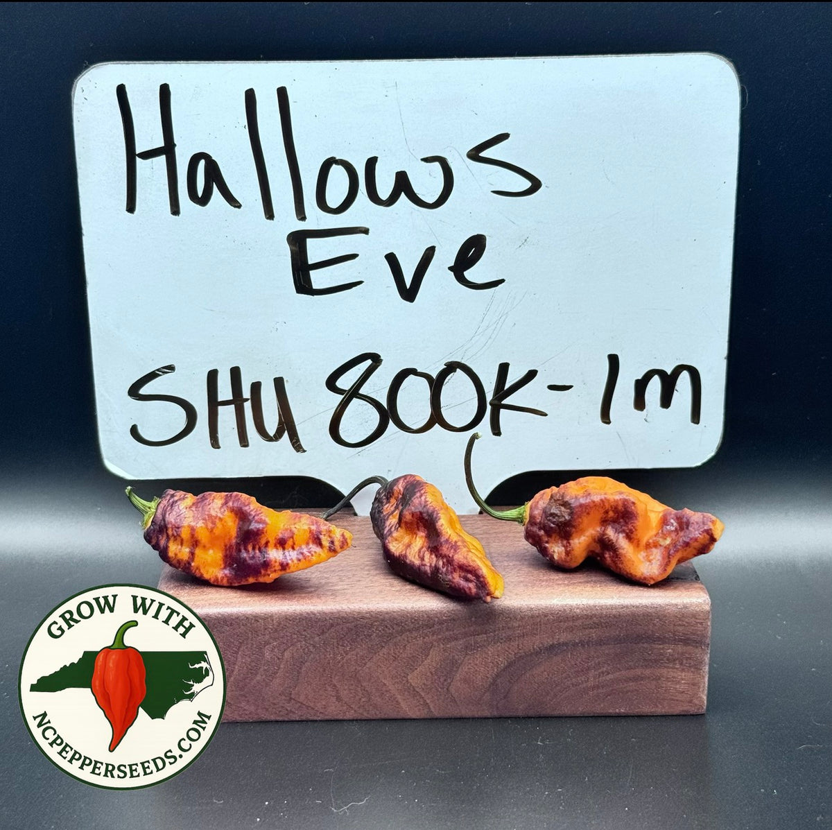 Hallows Eve #97