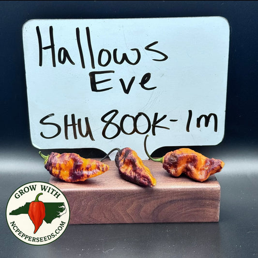 Hallows Eve #97