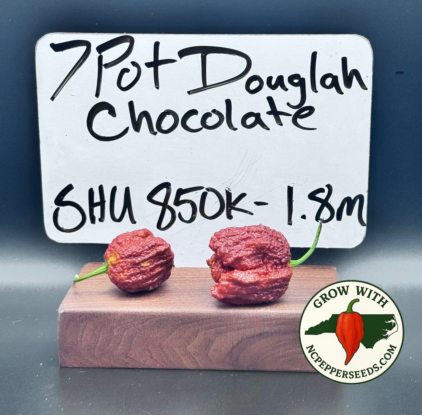 7 Pot Douglah Chocolate