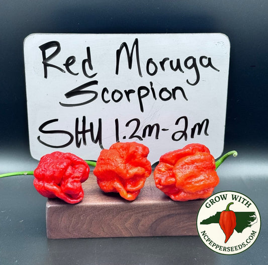 Red Moruga Scorpion