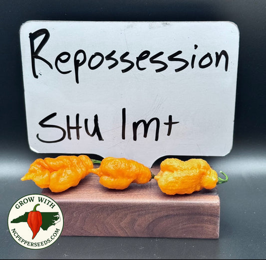 Repossession