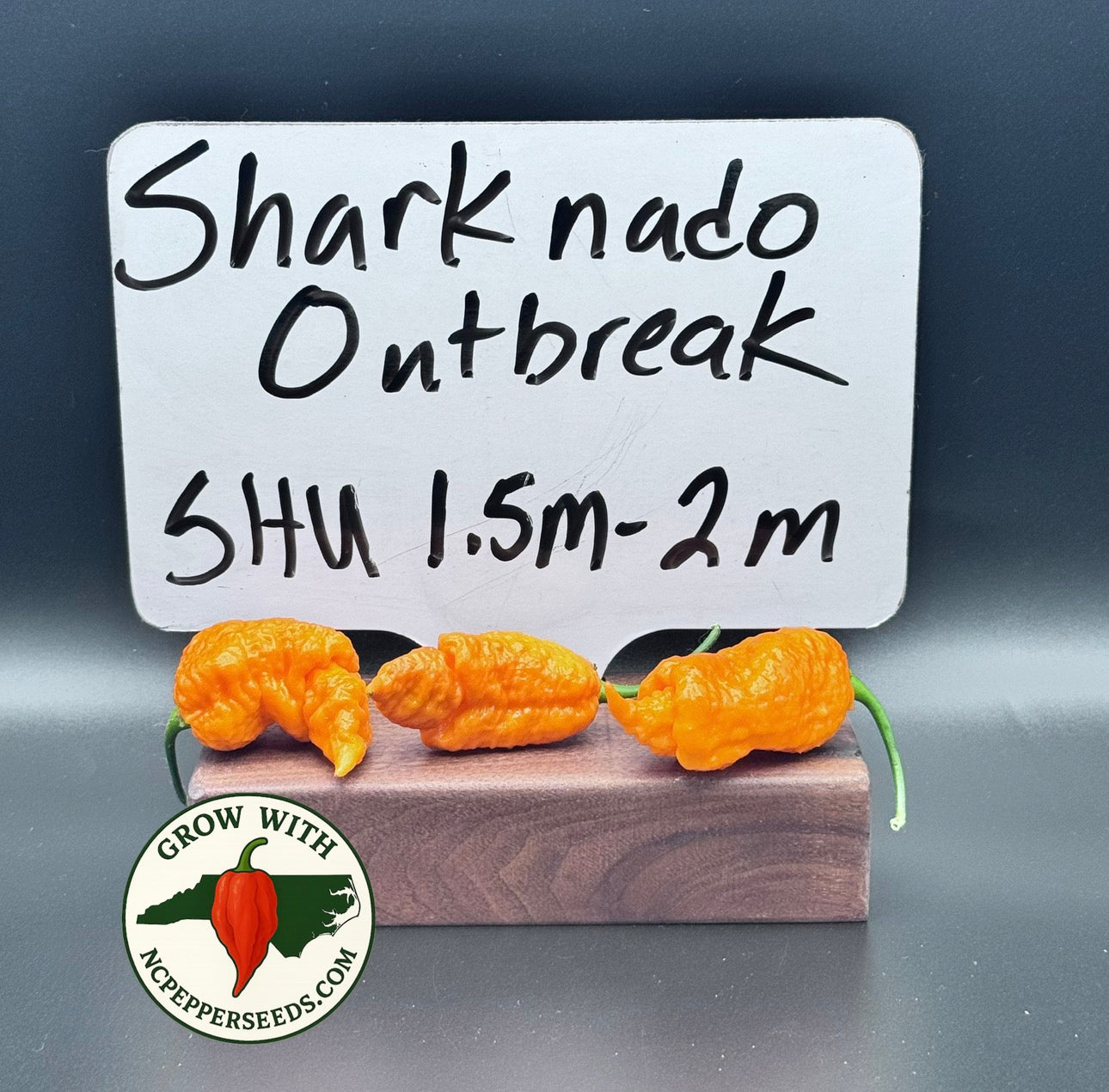 Sharknado Outbreak
