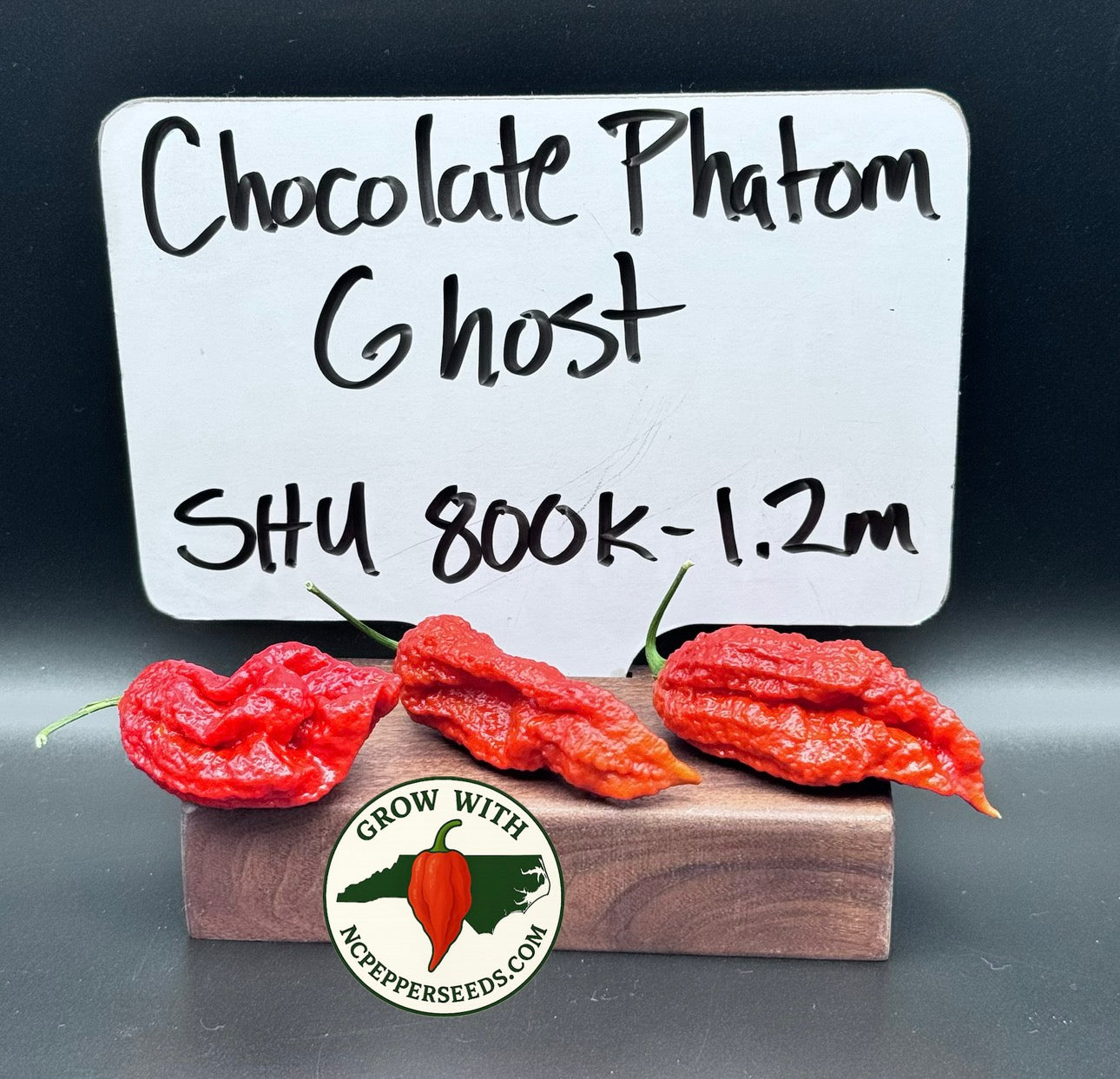 Chocolate Phantom Ghost