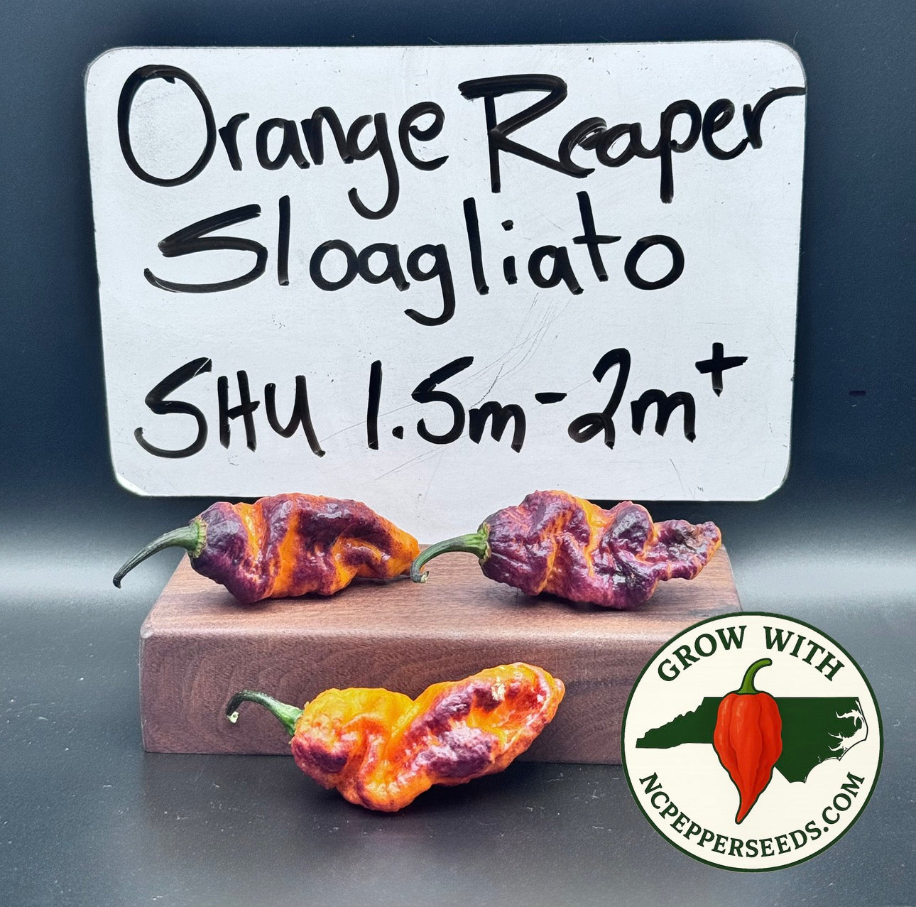 Orange Reaper Sbagliato
