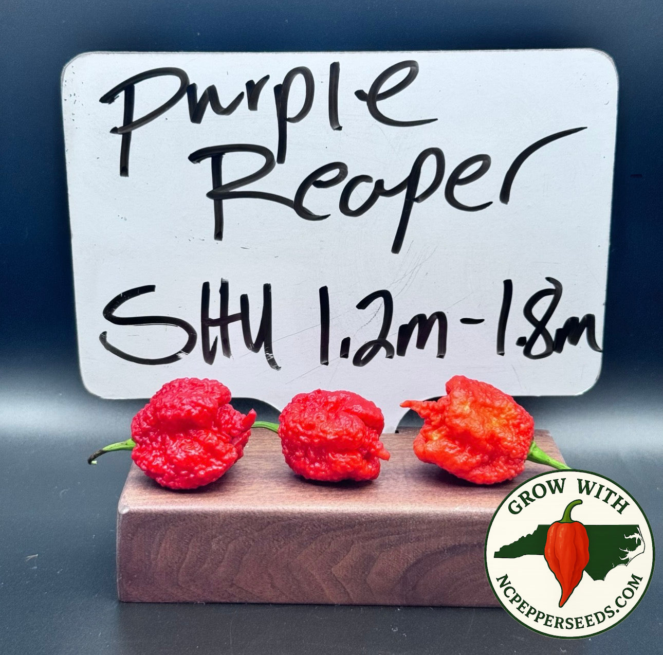 Purple Reaper