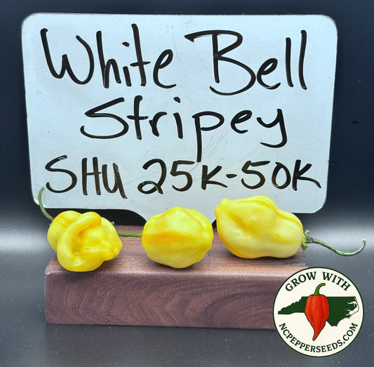 White Bell Stripey  #201