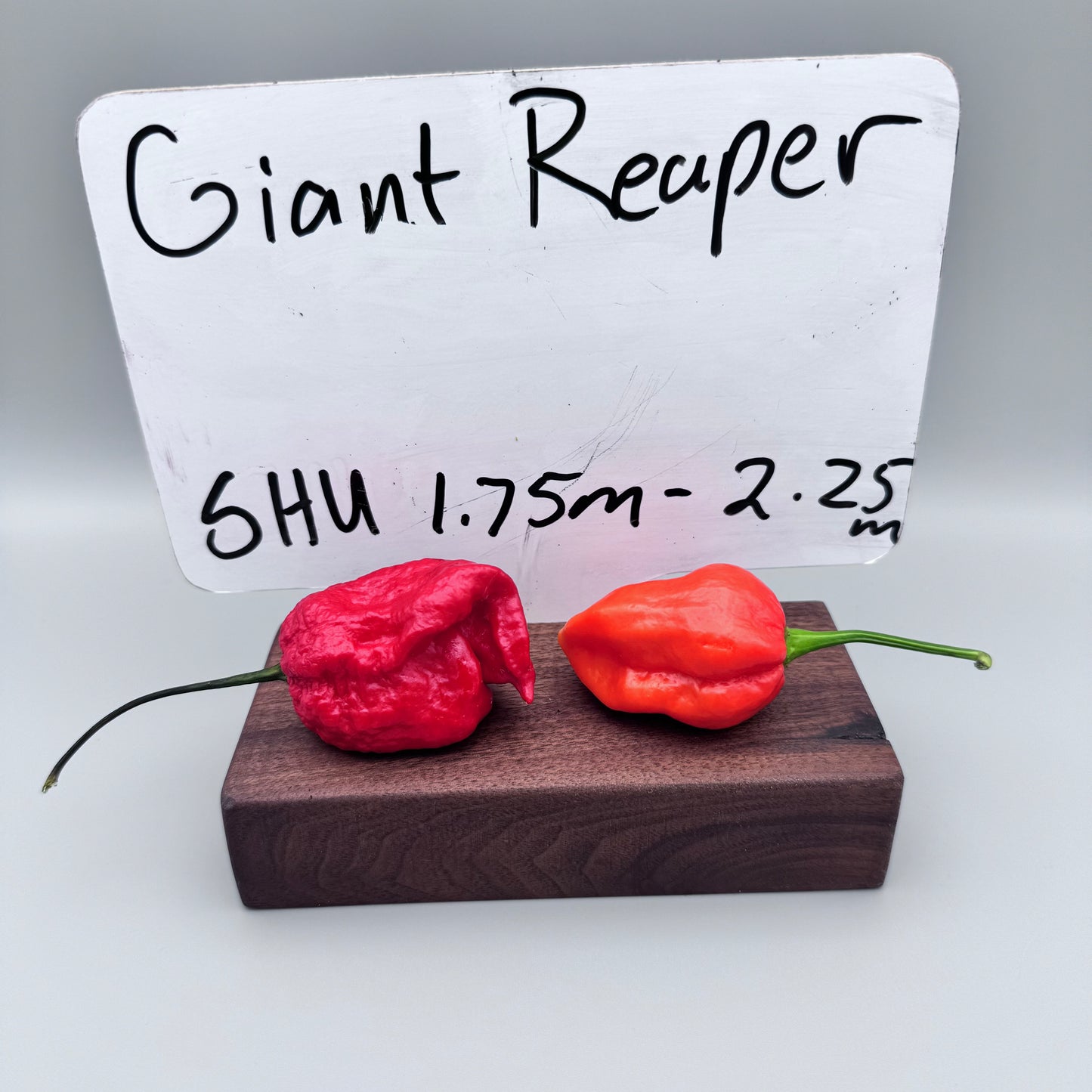 Giant Reaper