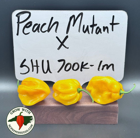 Peach Mutant X