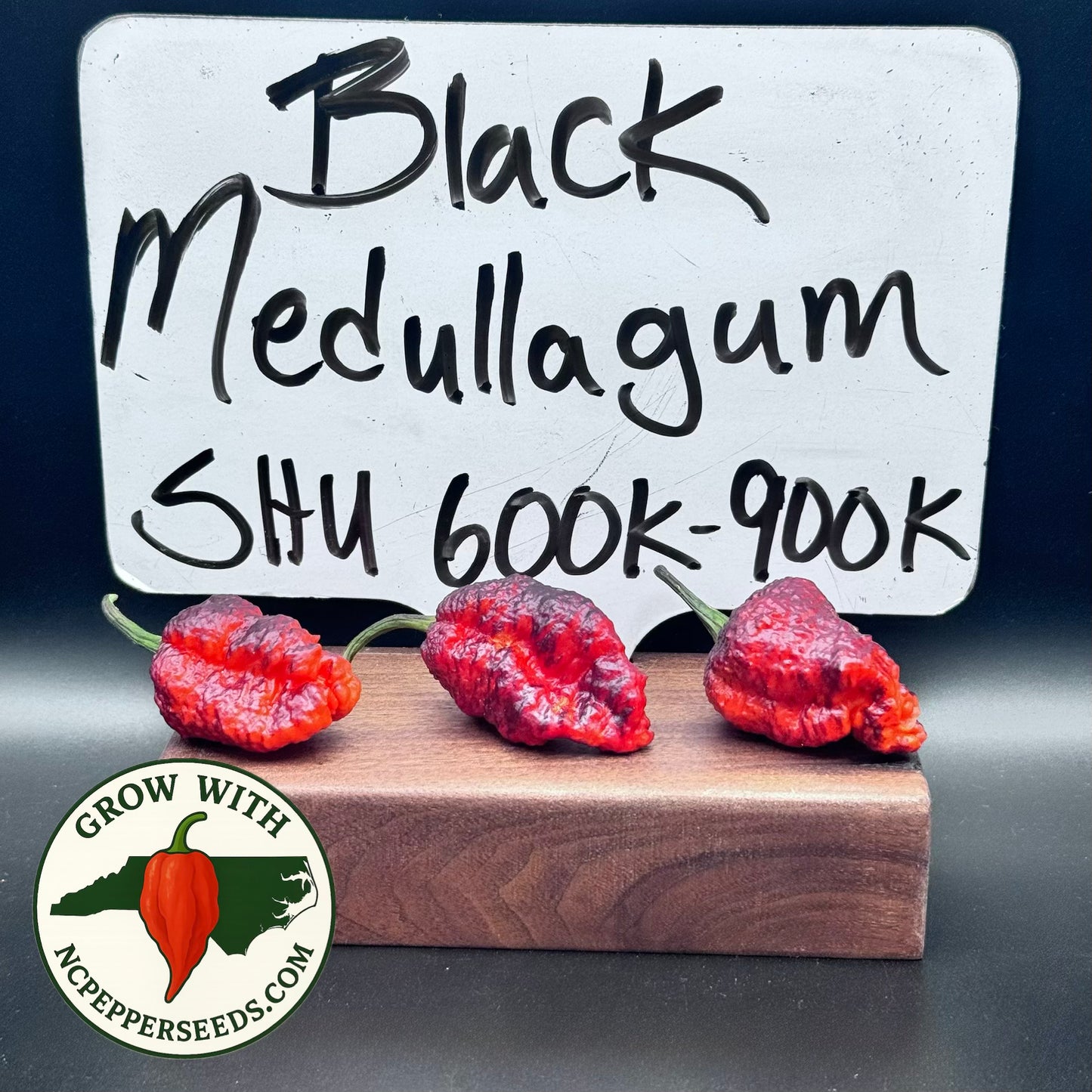Black MedullaGum #36
