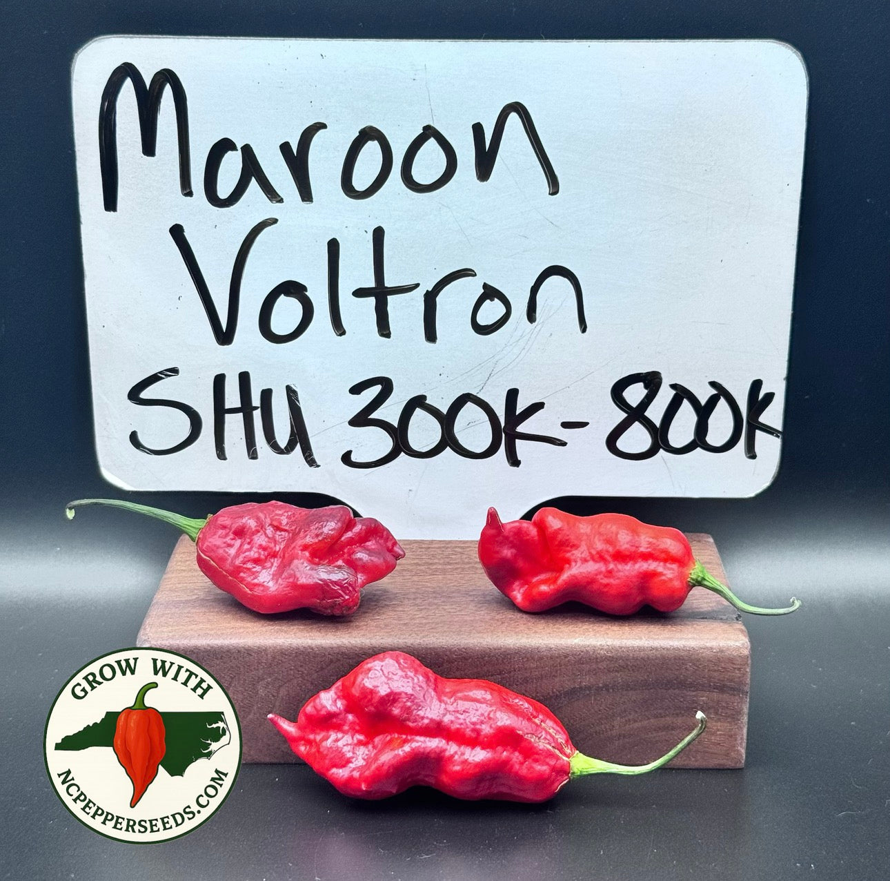 Maroon Voltron