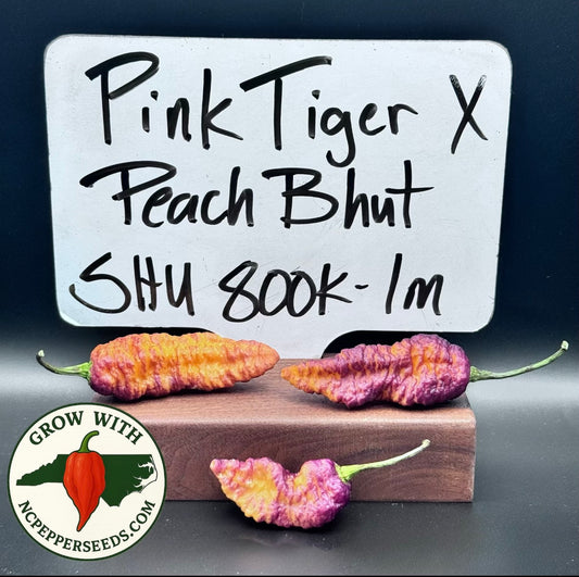 Pink Tiger x Peach Bhut  #155