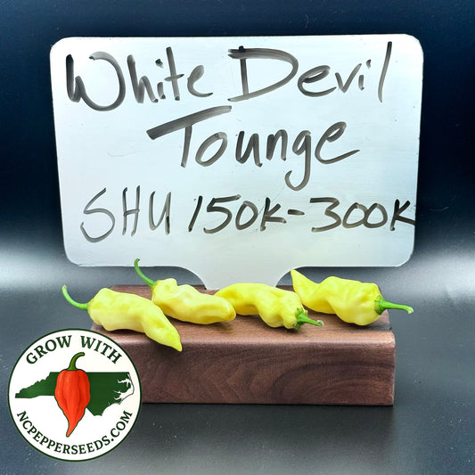 White Devil’s Tongue
