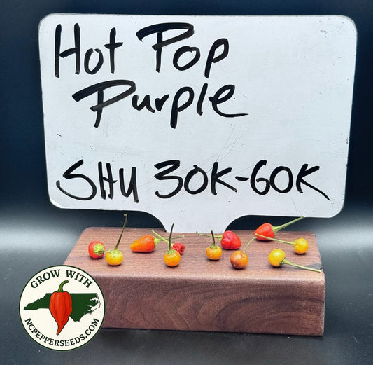 Hot Pop Purple #98