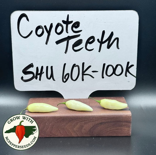 Coyote Teeth