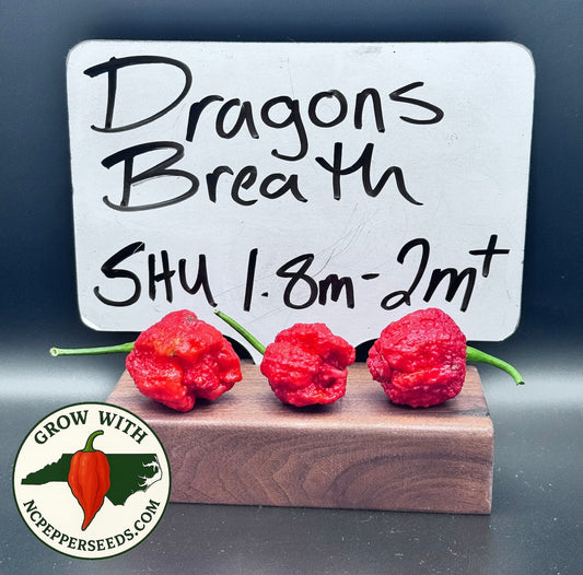 Dragons Breath #73