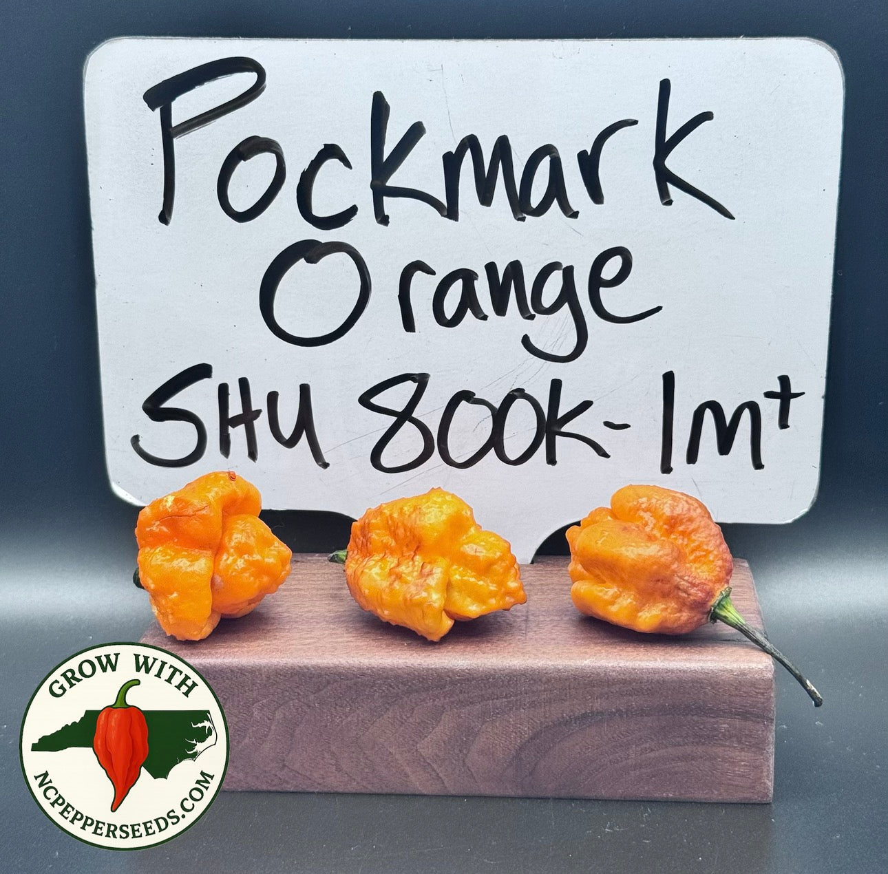 Pockmark Orange