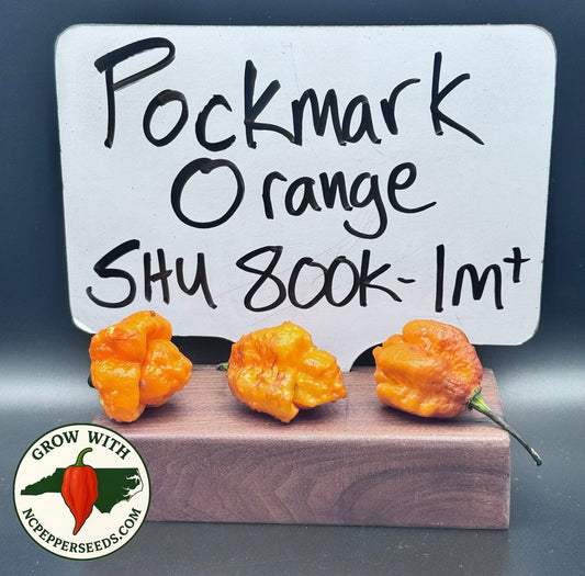 Pockmark Orange  #157