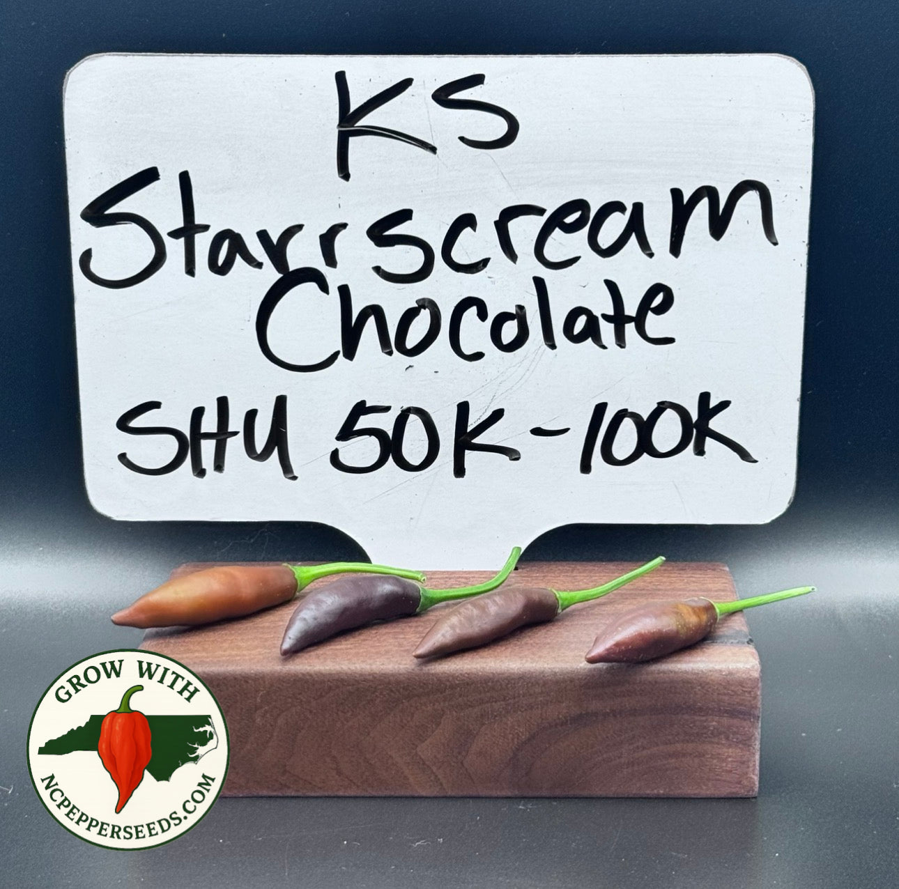 KS Chocolate Starscream