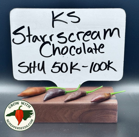 KS Chocolate Starscream