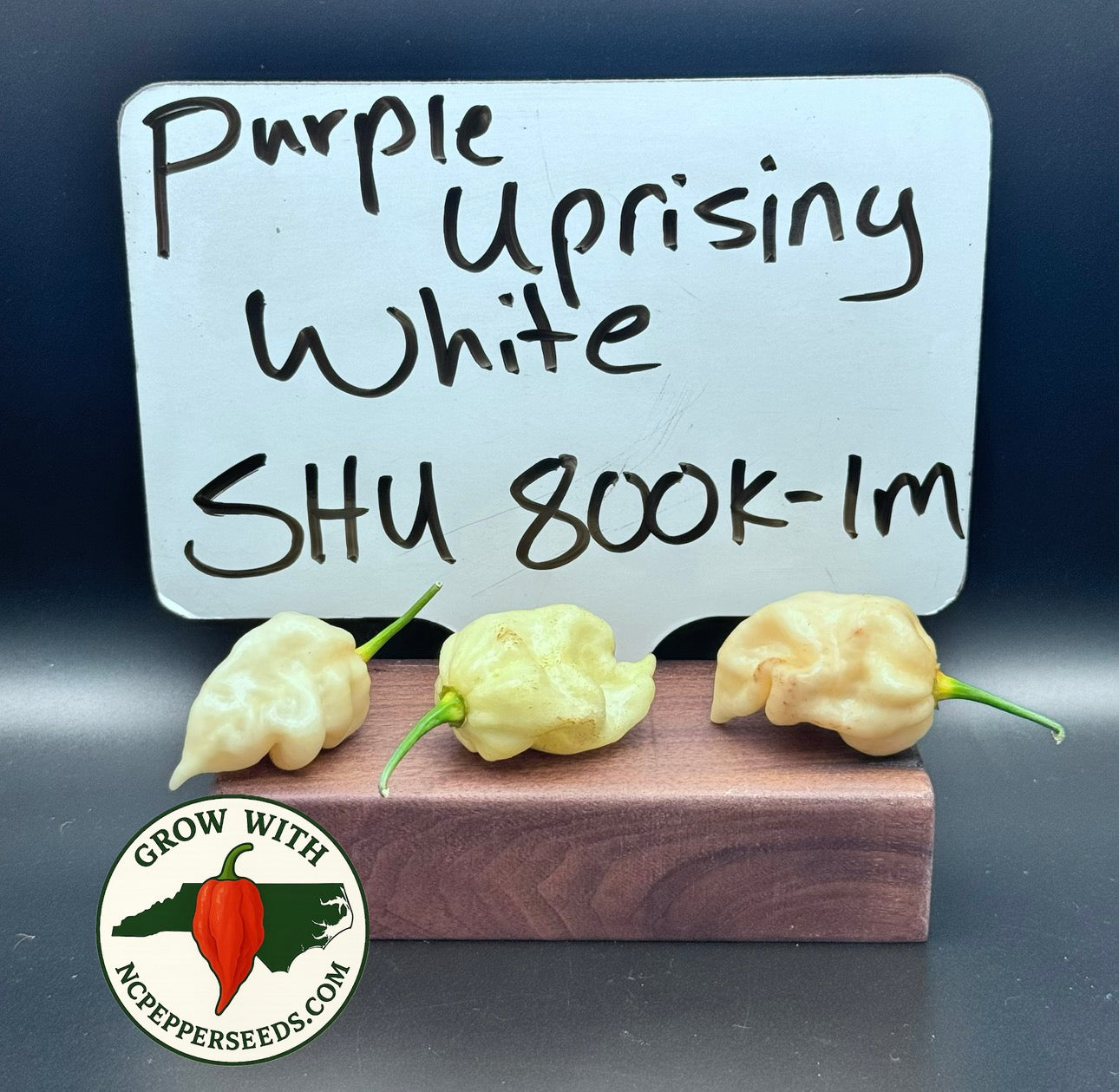 Purple Uprising White