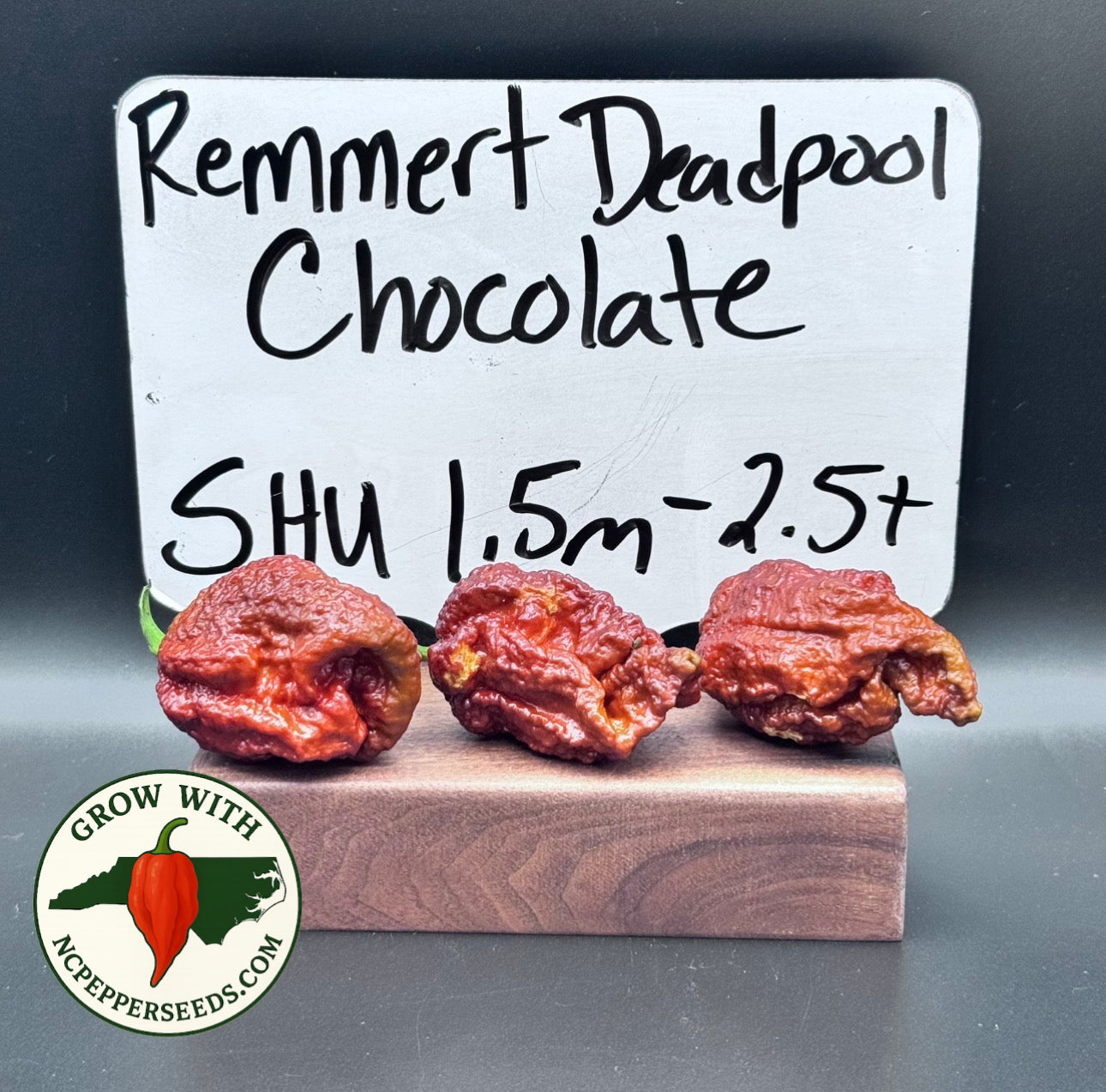 Remmert Deadpool Chocolate
