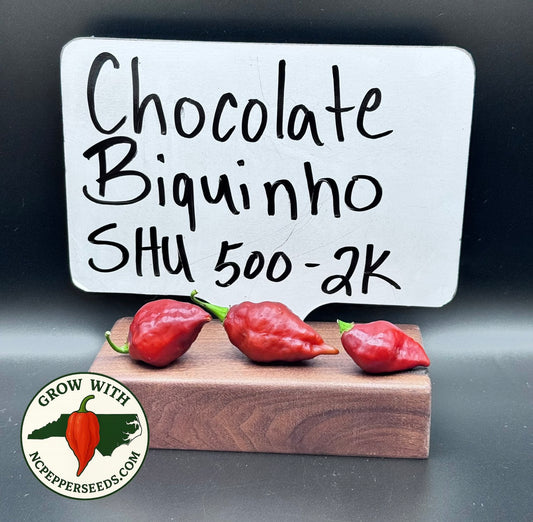 Chocolate Biquinho #52