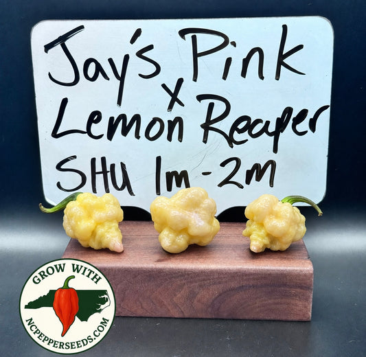 Jay’s Pink X Reaper Lemon #106