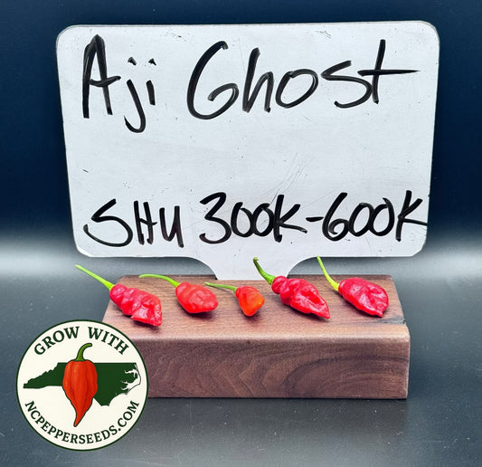 Aji Ghost #8