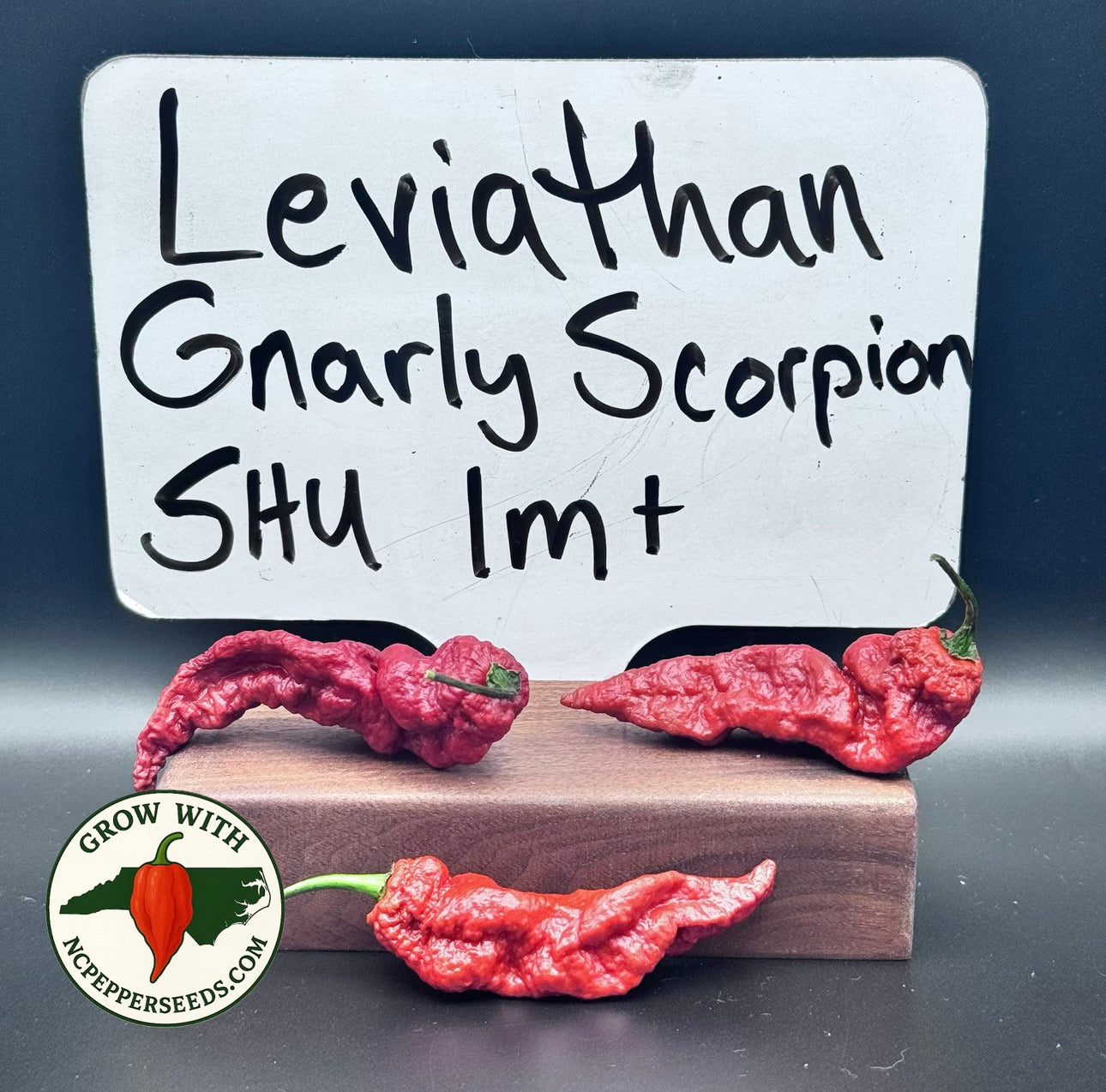 Leviathan Gnarly Scorpion