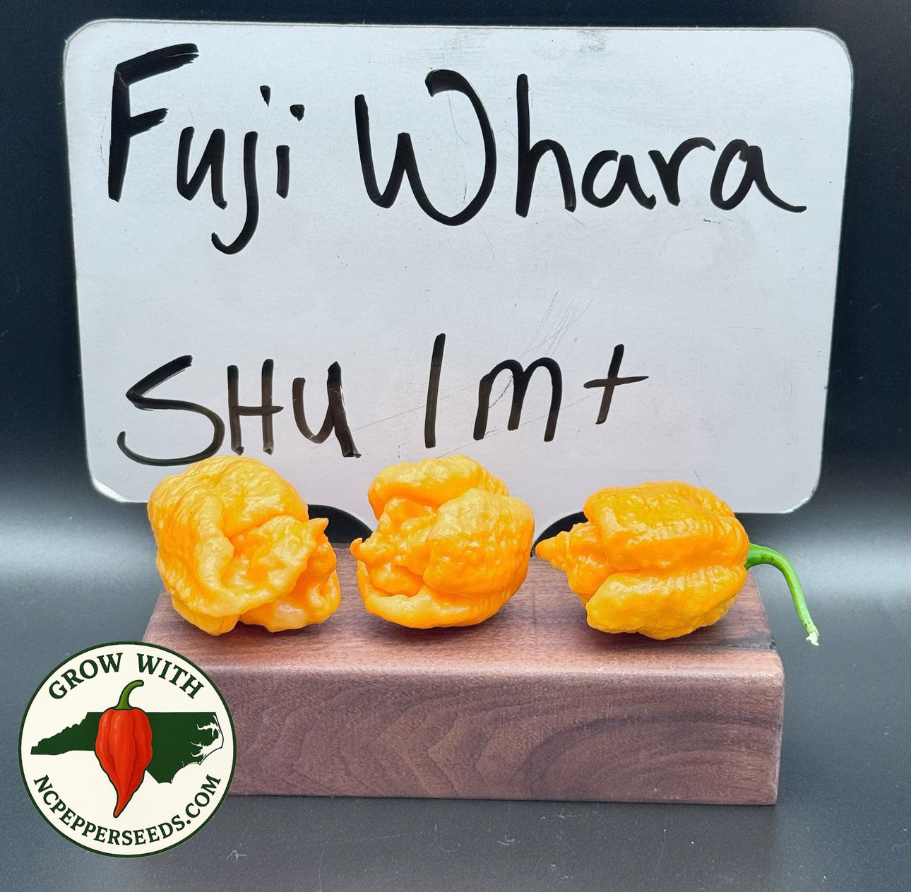 FujiWhara