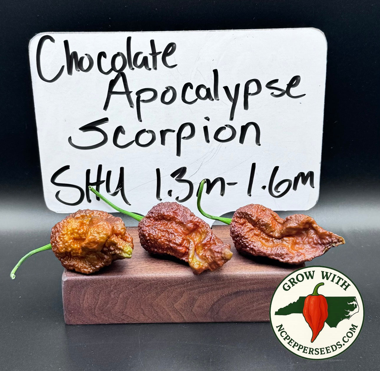 Chocolate Apocalypse Scorpion