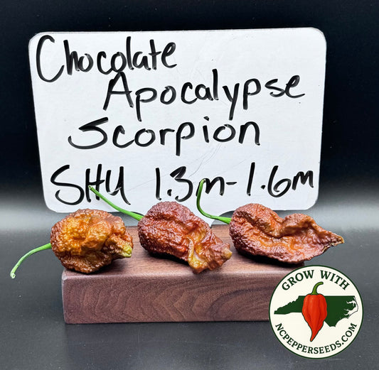 Chocolate Apocalypse Scorpion