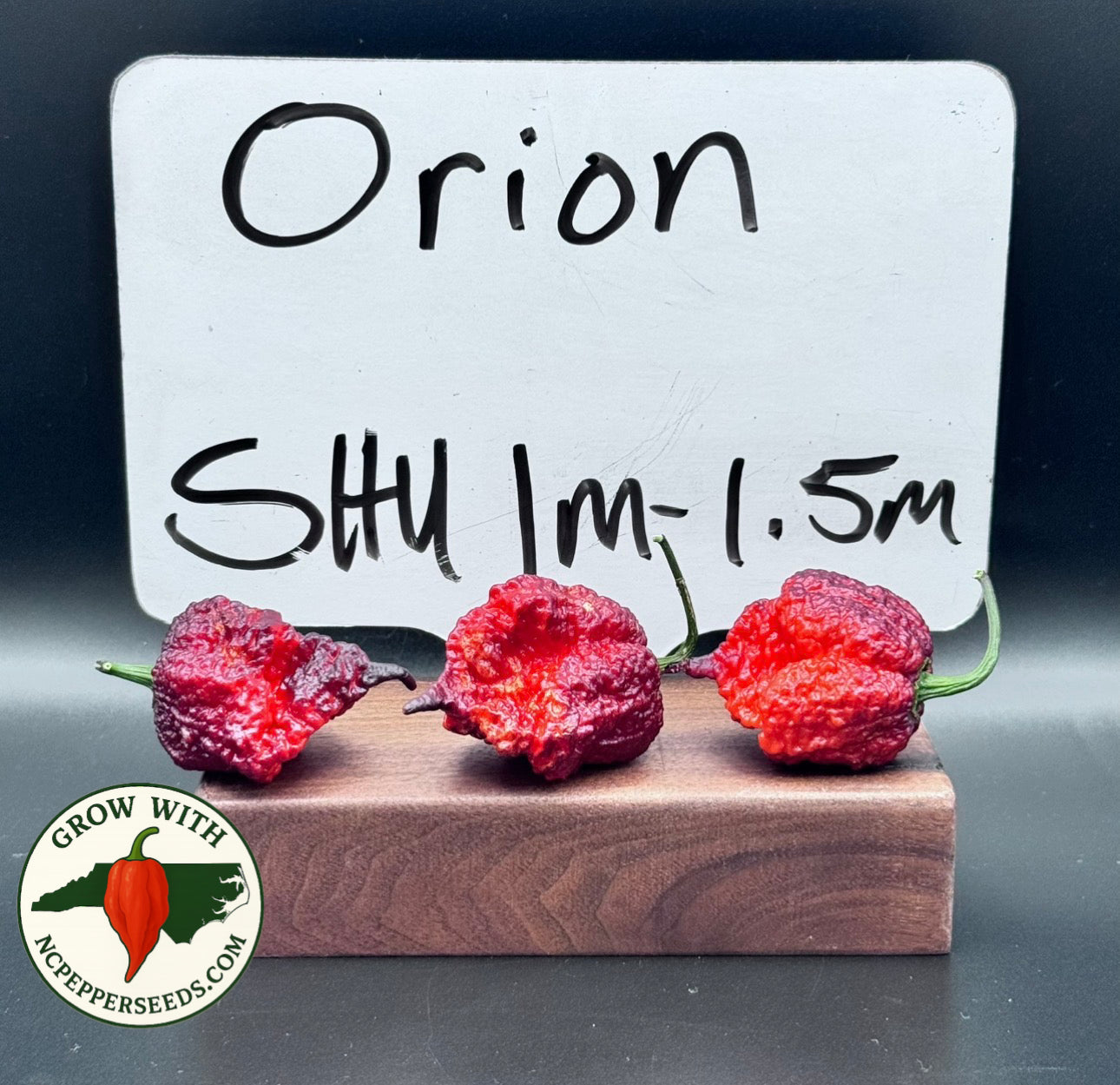 Orion