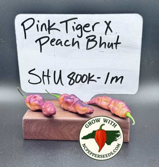 Pink Tiger x Peach Bhut