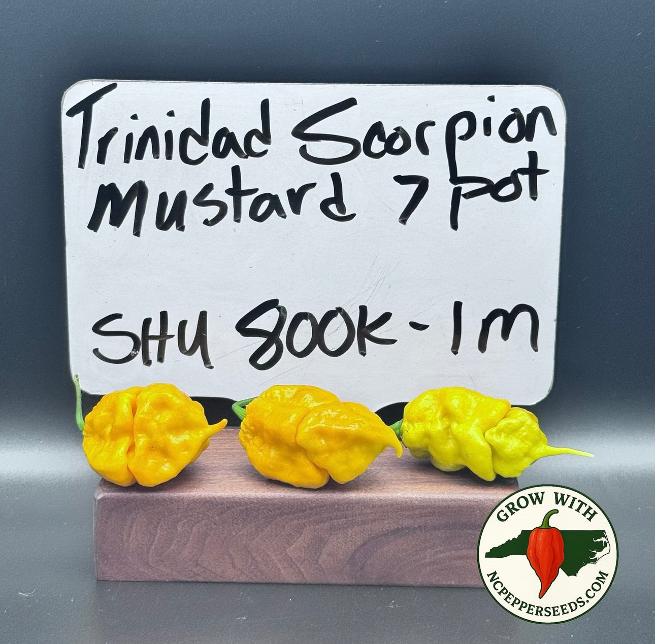 Trinidad Scorpion Mustard 7 Pot