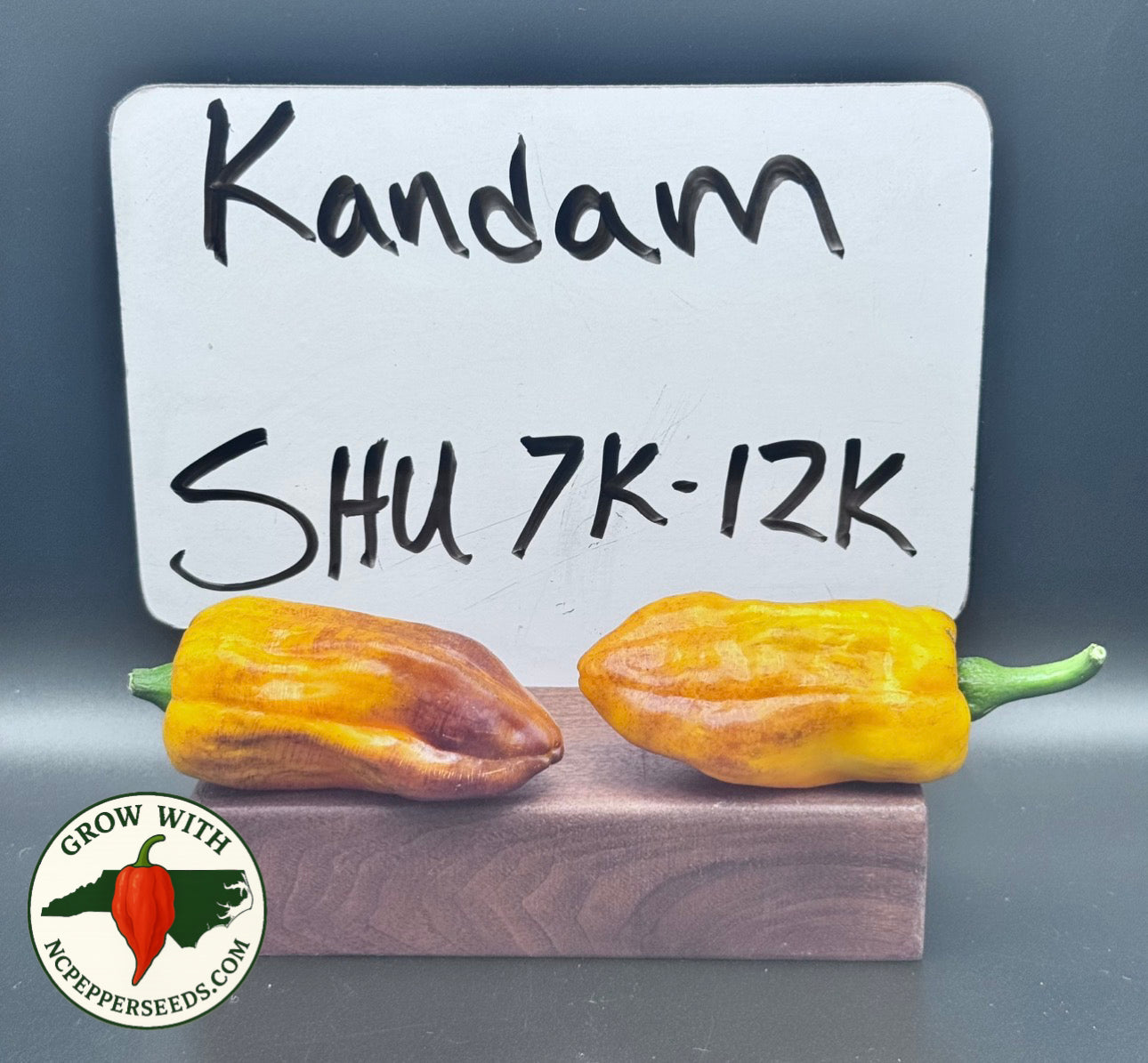 Kandam