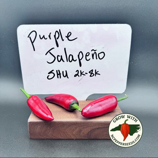Purple Jalapeño