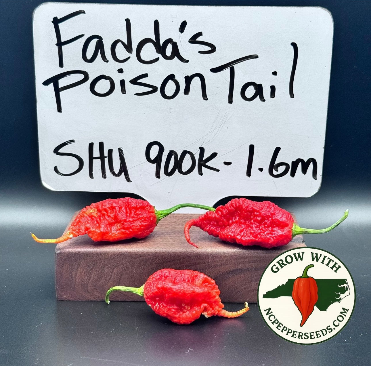 Faddas Poison Tail