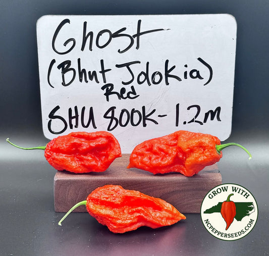 Ghost (Bhut Jolokia)Red