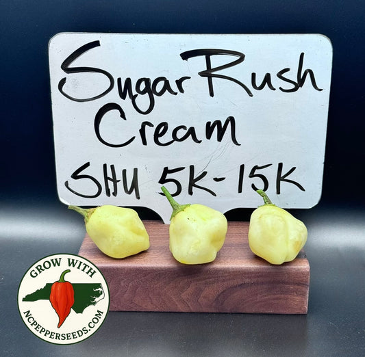 Sugar Rush Cream  #186