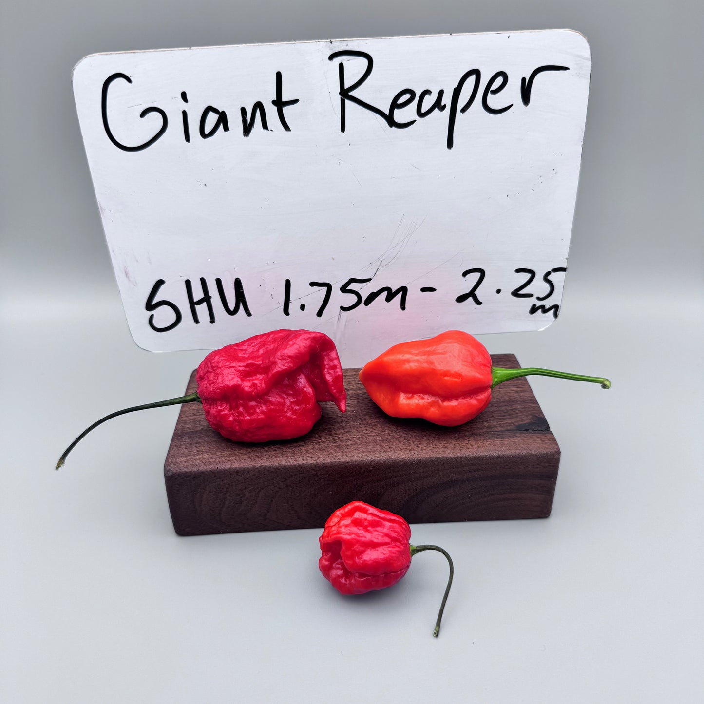 Giant Reaper