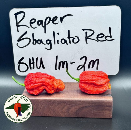 Reaper Sbagliato Red