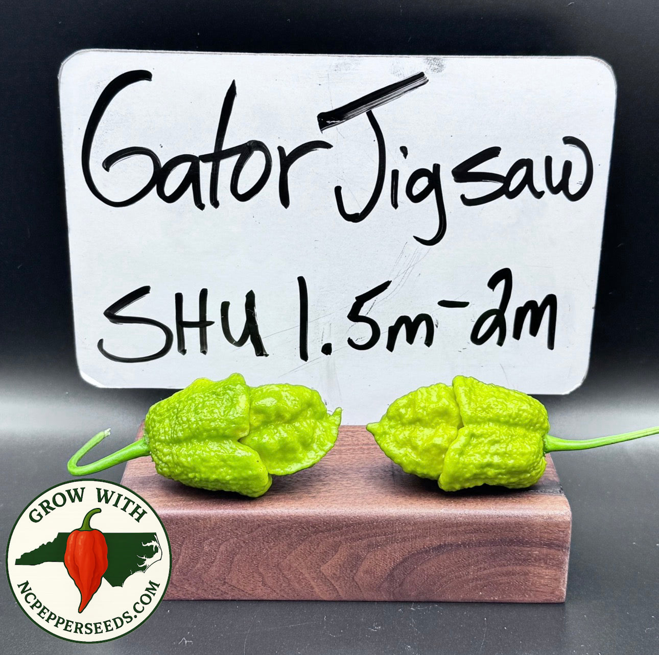 Gator Jigsaw