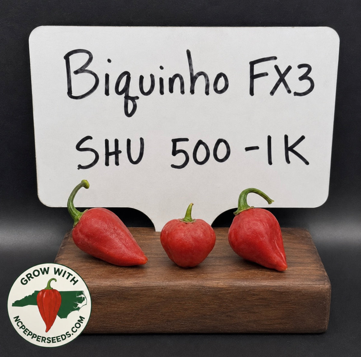 Biquinho FX3 #31