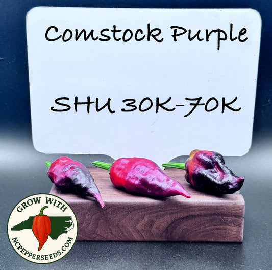Comstock Purple