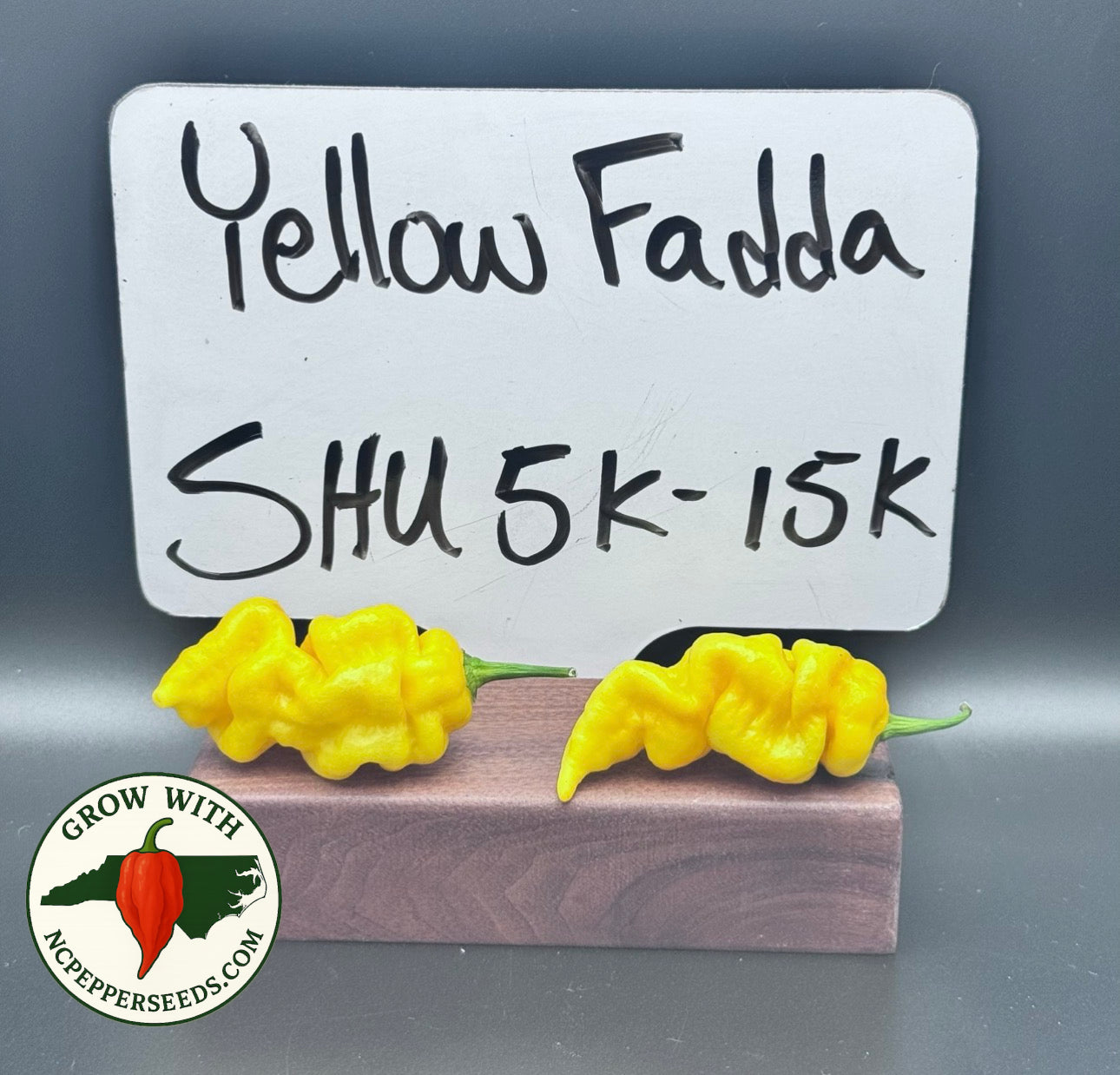 Yellow Fadda