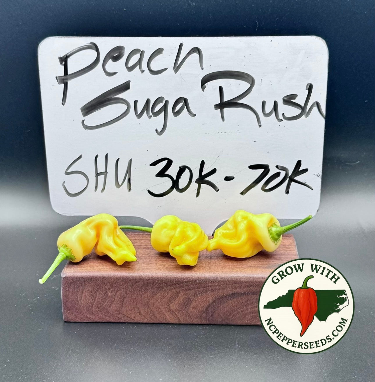 Sugar Rush Peach