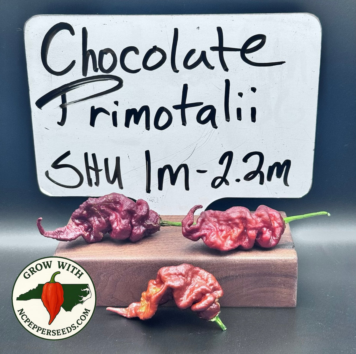 Chocolate Primotalii #59